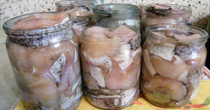 консервы из скумбрии в домашних условиях