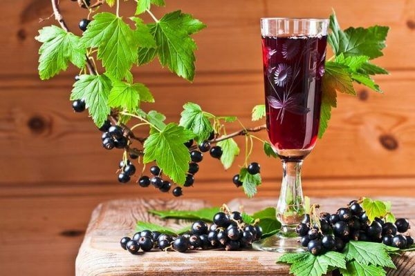 домашнее вино из черной смородины простой рецепт