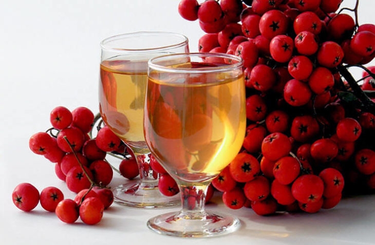 вино из рябины красной в домашних условиях