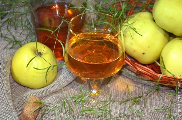 домашнее яблочное вино