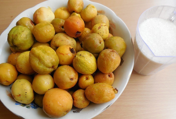 что приготовить из айвы японской рецепты