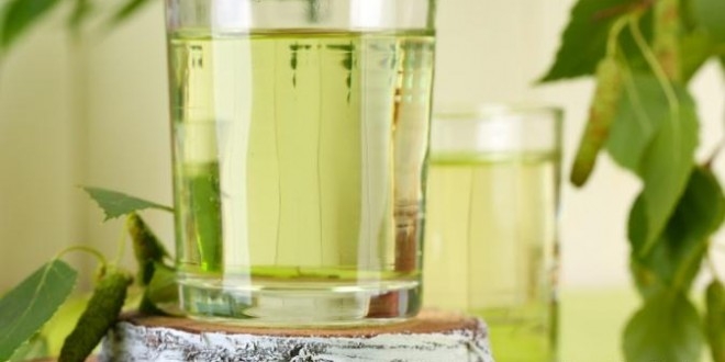 правильно сделать квас из березового сока