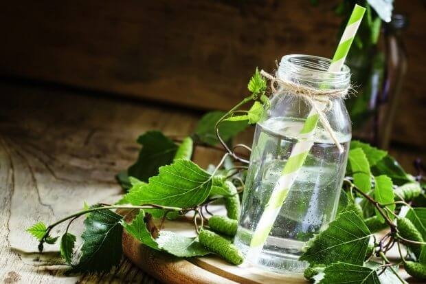 правильно сделать квас из березового сока