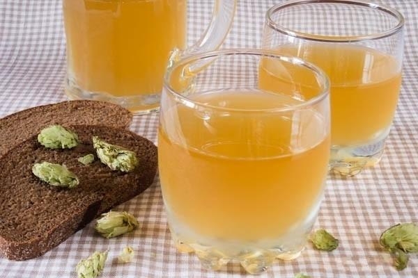 правильно сделать квас из березового сока