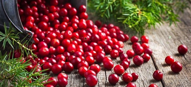 брусника в собственном соку на зиму рецепты