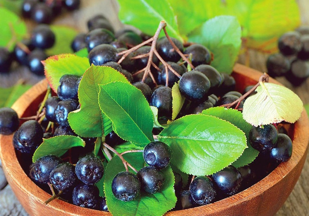 заготовки из черноплодной рябины на зиму рецепты