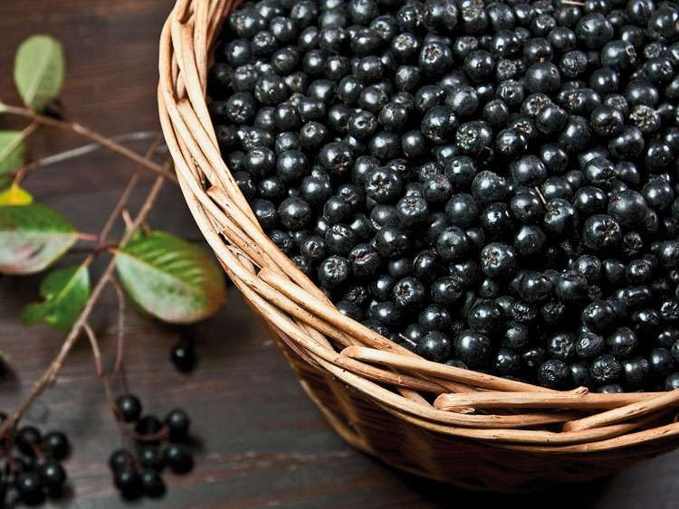 черноплодная рябина рецепты приготовления на зиму