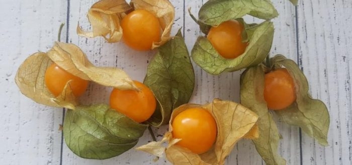 заготовки из физалиса на зиму рецепты