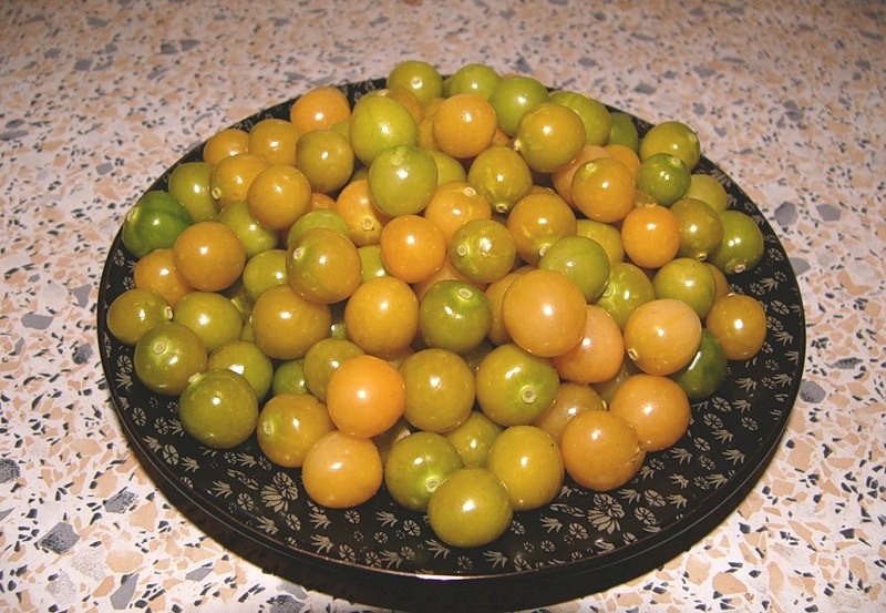 физалис овощной рецепты приготовления на зиму