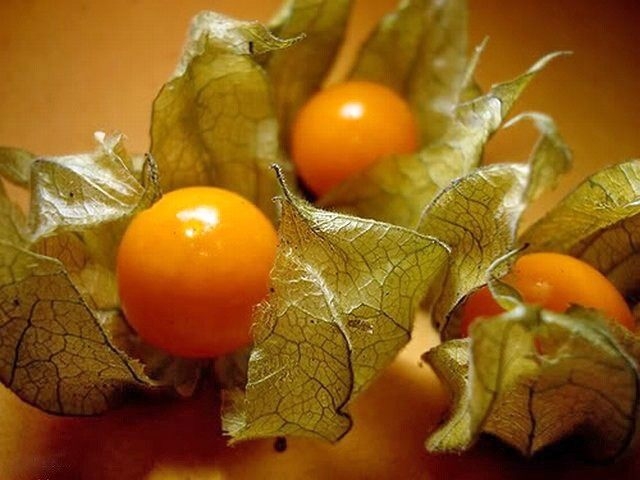 заготовки из физалиса на зиму рецепты