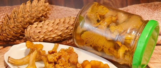 соленые лисички