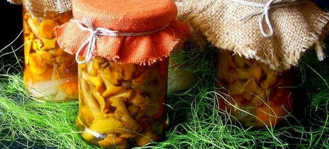 соленые лисички