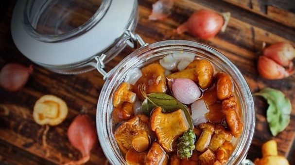 как солить лисички