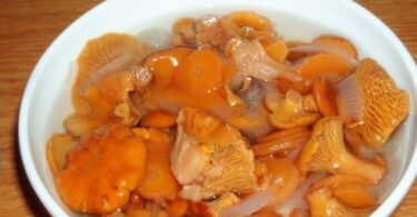 Маринованные лисички на зиму