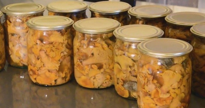 соленые лисички