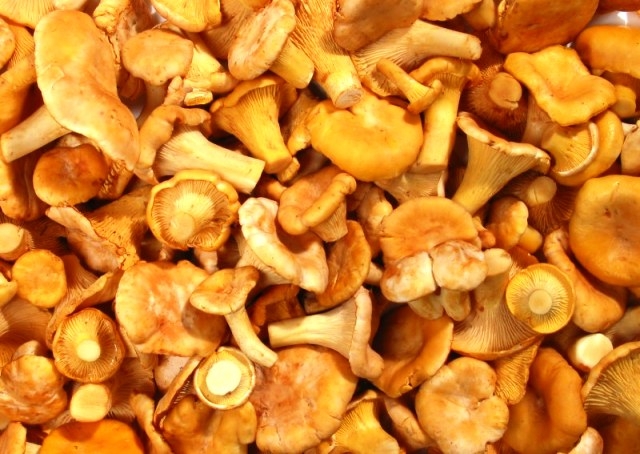 лисички грибы как приготовить на зиму