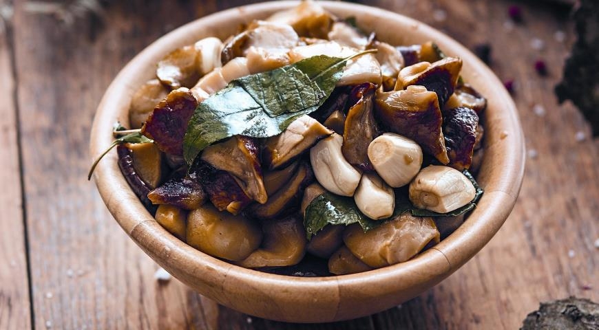 рядовка фиолетовая как готовить