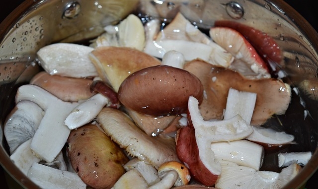 рядовка серая рецепты приготовления