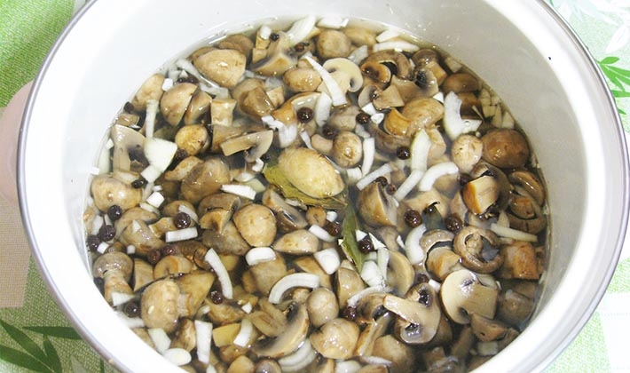 засолка грибов рядовка на зиму