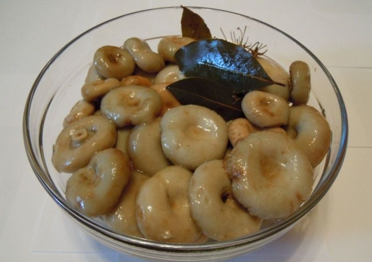 грузди белые на зиму рецепты приготовления