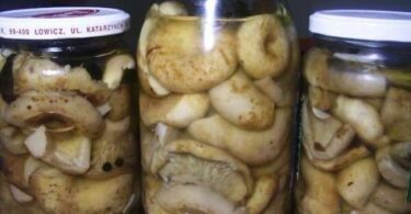 Грузди маринованные