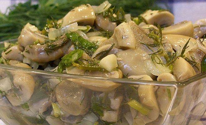 маринованные грузди рецепт на зиму хрустящие
