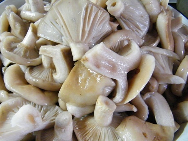 грузди черные маринованные на зиму рецепты приготовления