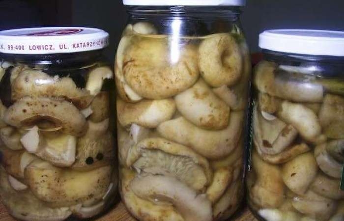 как мариновать грузди