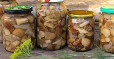 Маринованные зеленушки на зиму