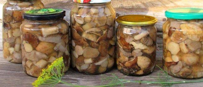 грибы зеленки рецепты на зиму