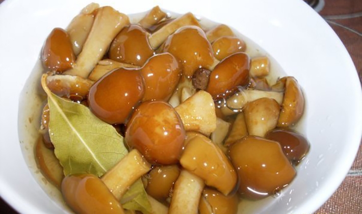 опята соленые рецепты на зиму холодным способом