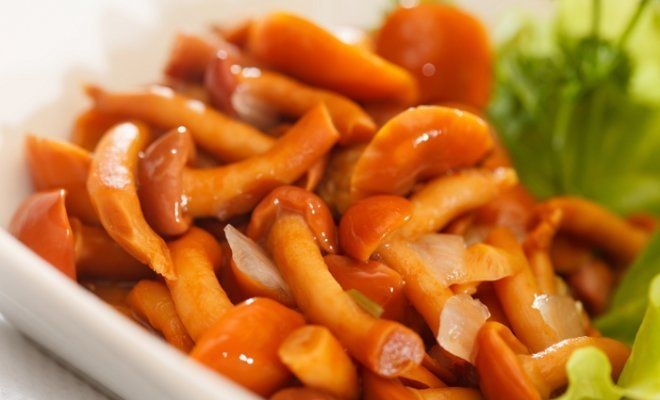 опята соленые рецепты на зиму горячим способом