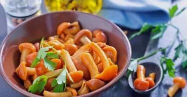 Засолка опят