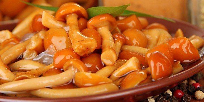 соленые опята на зиму в банках