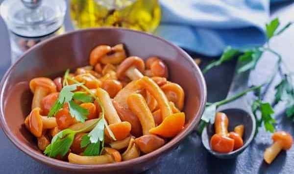 опята соленые рецепты на зиму холодным способом