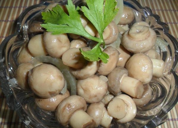засолка шампиньонов в домашних условиях на зиму