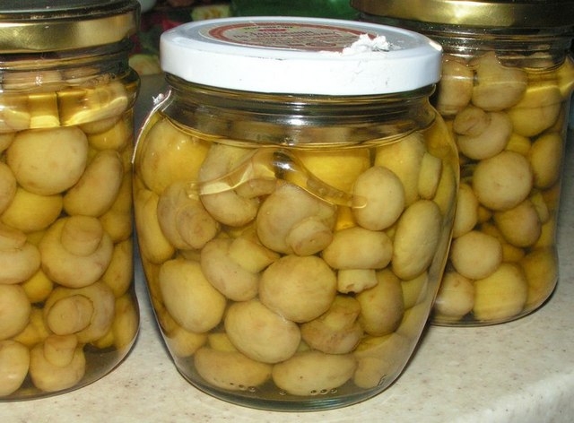 соленые шампиньоны быстрого приготовления