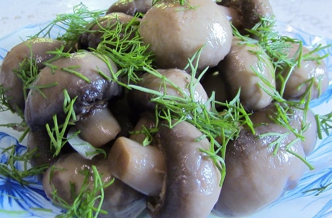 засолка шампиньонов в домашних условиях на зиму