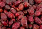 правильно сушить шиповник в домашних условиях