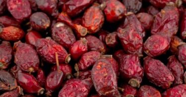 правильно сушить шиповник в домашних условиях