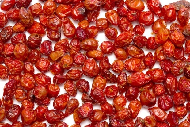 когда собирать шиповник на сушку