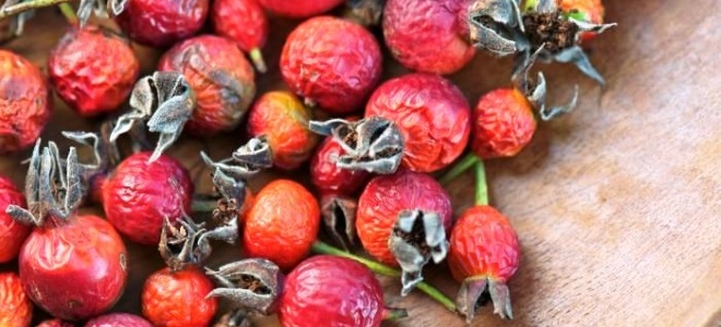 сушить шиповник в духовке