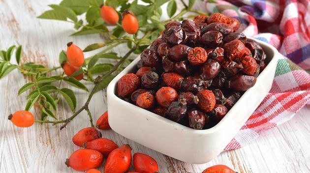 когда собирать шиповник на сушку