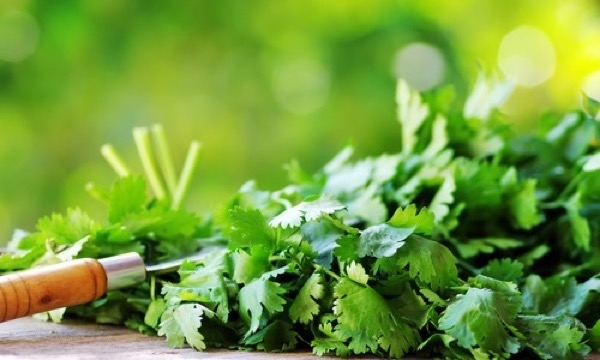 как заморозить петрушку на зиму в холодильнике