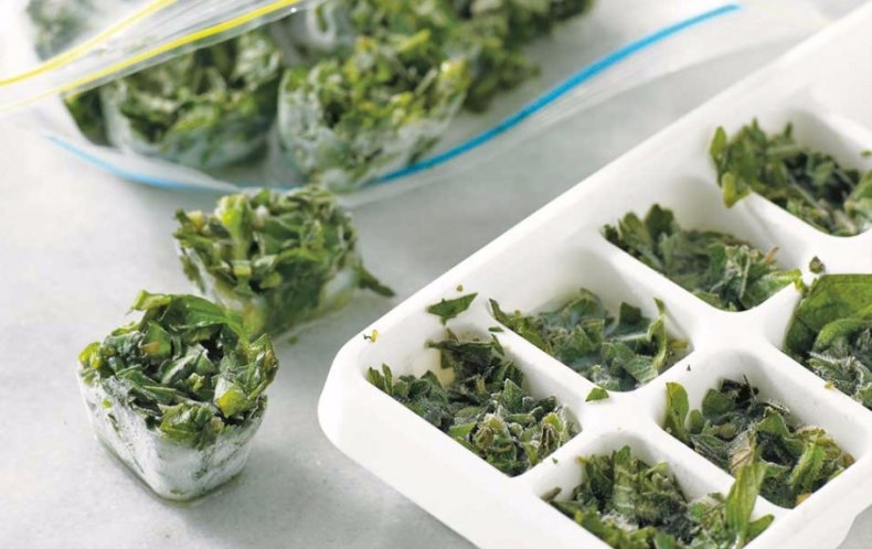 как заморозить петрушку на зиму в холодильнике