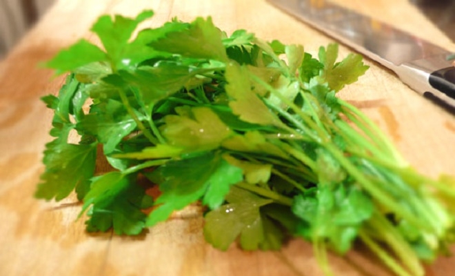 заготовка петрушки на зиму в домашних условиях
