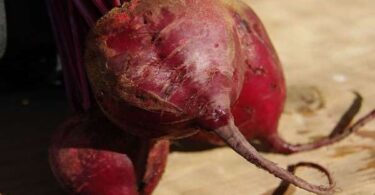 Заморозка свеклы на зиму