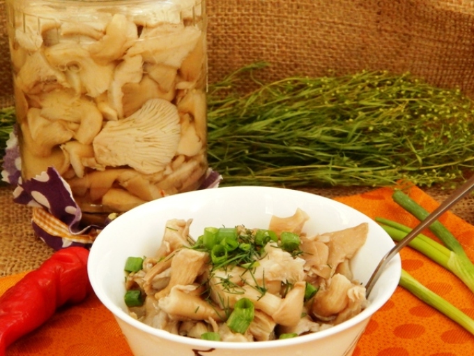 можно ли солить вешенки