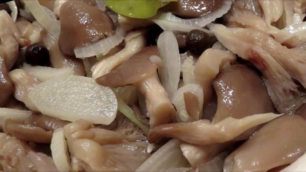 солить грибы вешенки на зиму