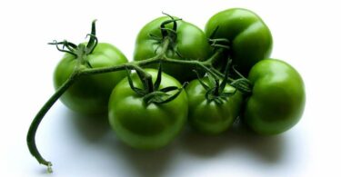 засолка зеленых помидоров